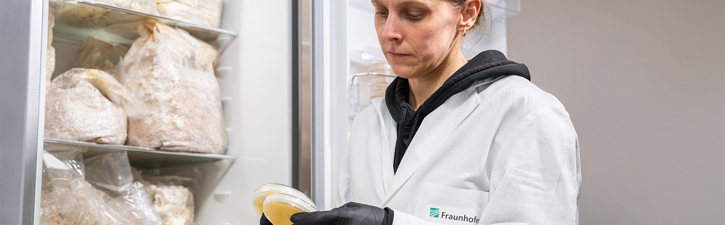 Entwicklung substratbasierter Pilzwerkstoffe