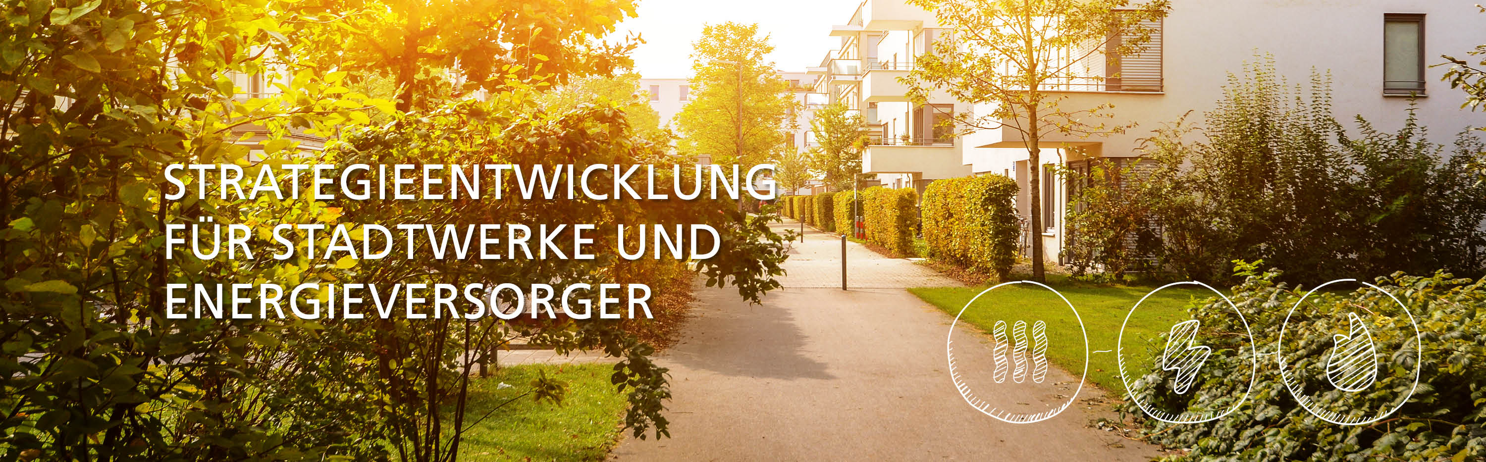 Strategieentwicklung  für Stadtwerke und Energieversorger