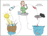 Der Weg von primärem und sekundärem Mikroplastik in unserer Nahrungskette.