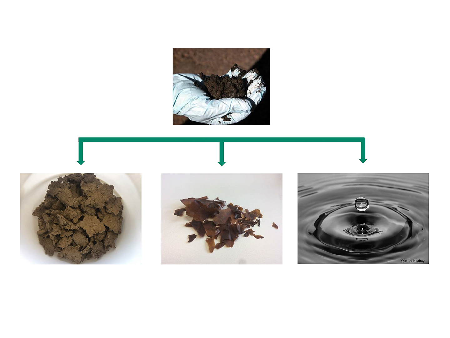 Separation des Klärschlamms in Faser-, Gel- und Flüssigkeitsfraktion. Separation des Klärschlamms in Faser-, Gel- und Flüssigkeitsfraktion.