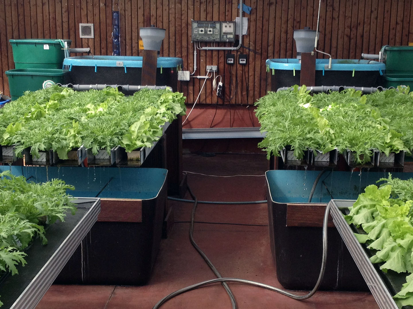 Roof Water-Farm. Roof Water-Farm – Gebäudeintegriertes Wasserrecycling.