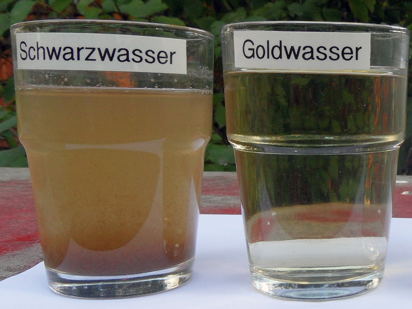 Aus Schwarzwasser wird hochwertiger Pflanzendünger.