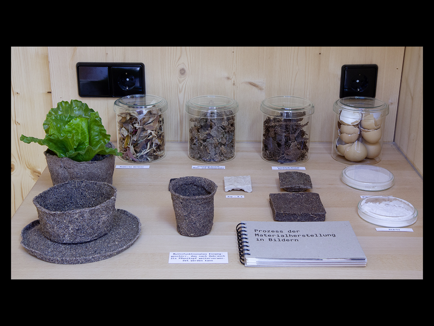Beim Tourstopp der Ausstellung in Dresden dreht sich alles um das Thema Boden und Kompost.