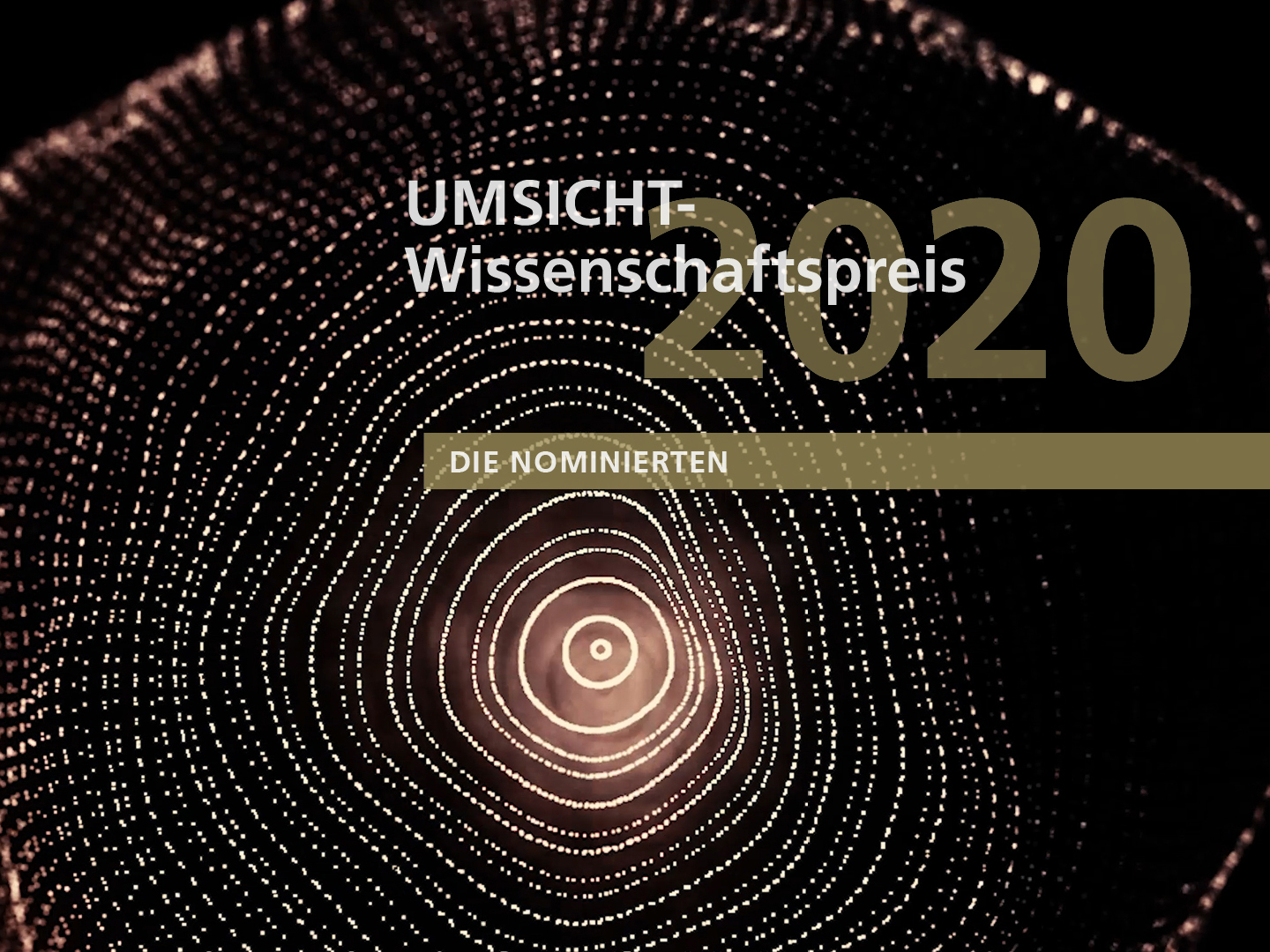 UMSICHT-Wissenschaftspreis 2020.