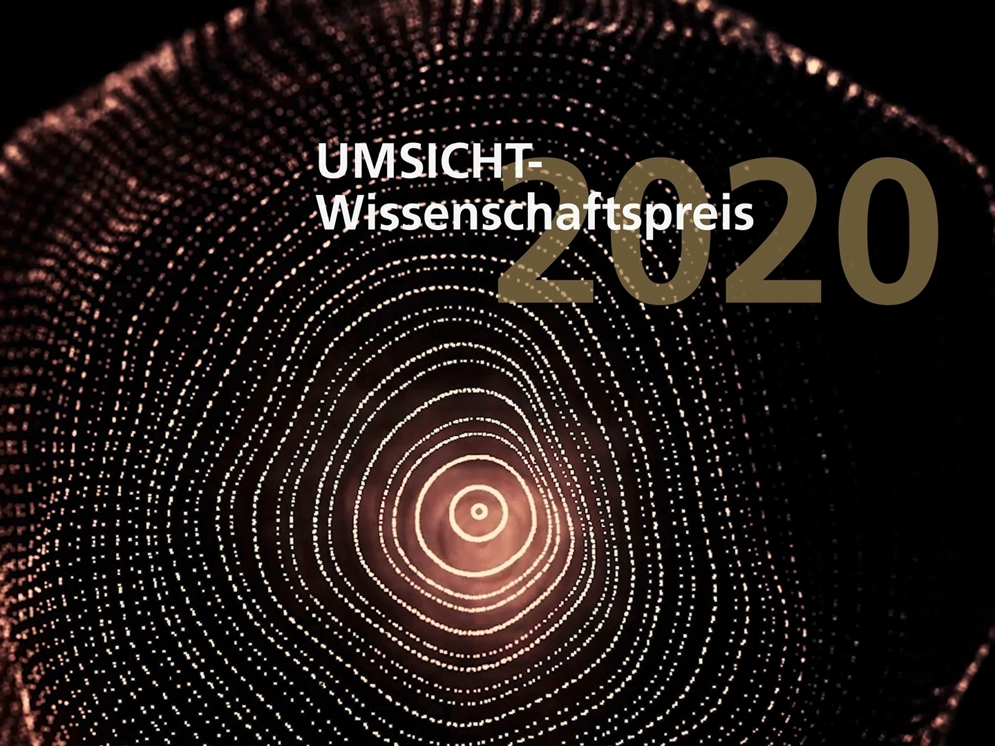 Der UMSICHT-Wissenschaftspreis 2020 wird erstmalig virtuell verliehen.