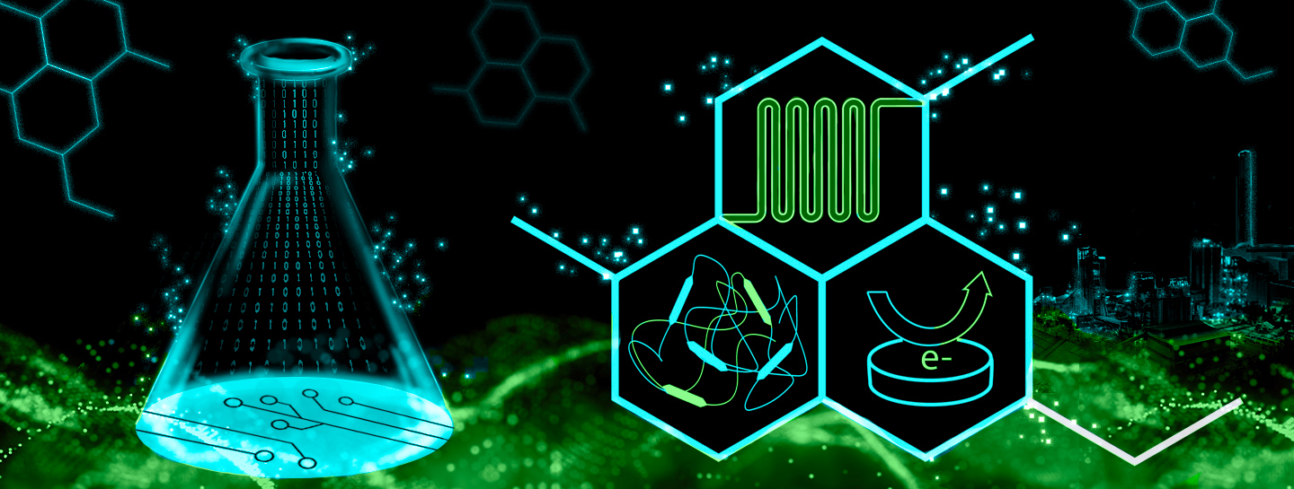 Leitprojekt ShaPiD  Leitprojekt ShaPiD