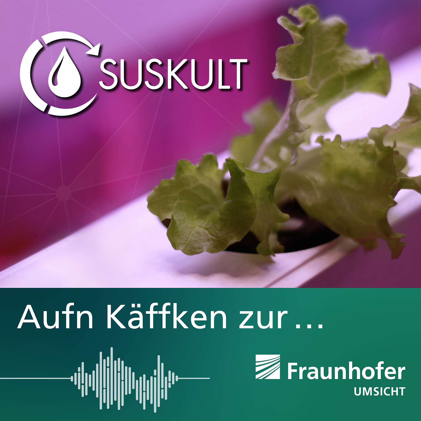 Der Podcast »Aufn Kaeffken zur ...« informiert über das neuartige Agrarsystem SUSKULT.