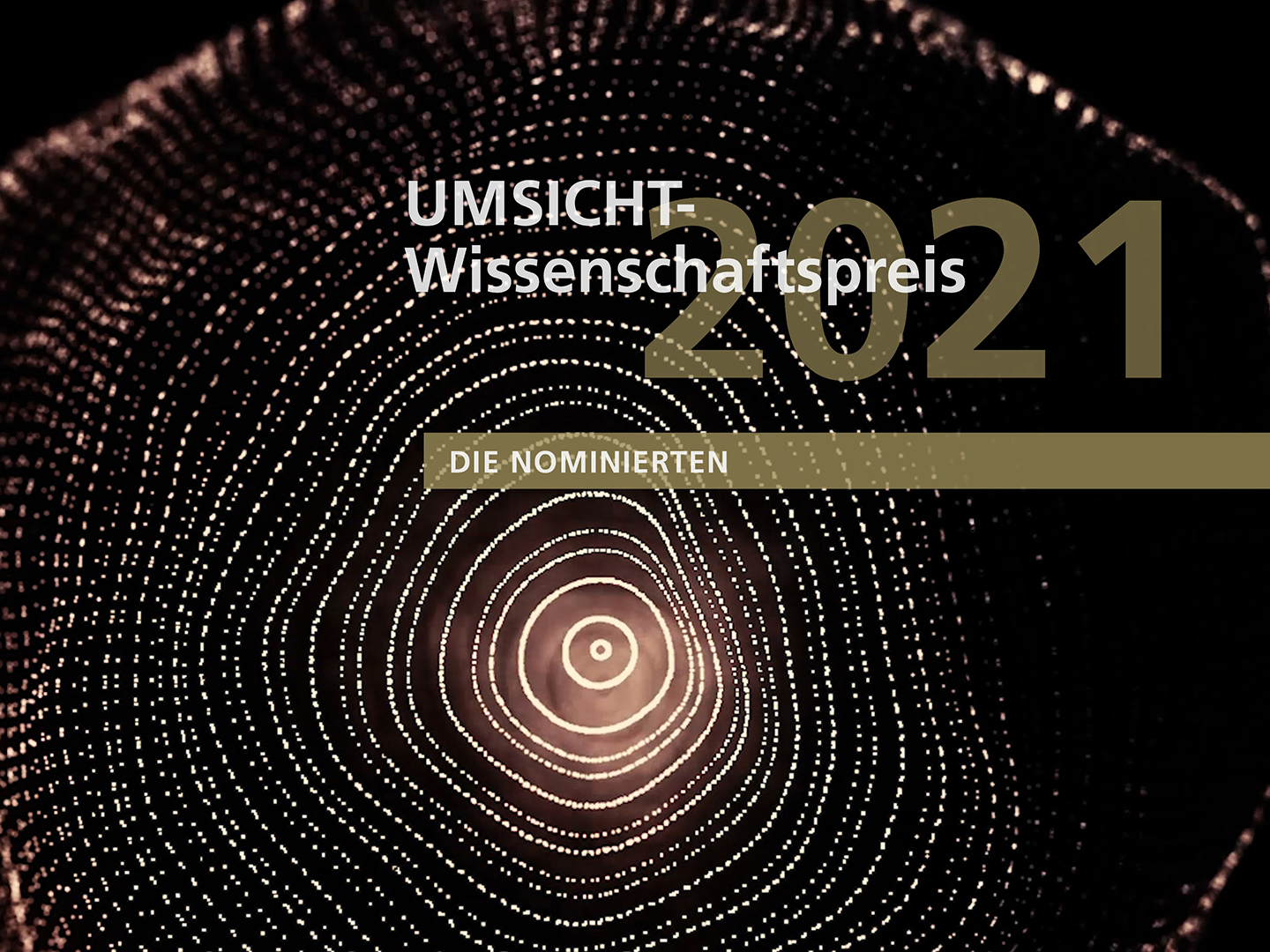UMSICHT-Wissenschaftspreis 2021. UMSICHT-Wissenschaftspreis 2021.