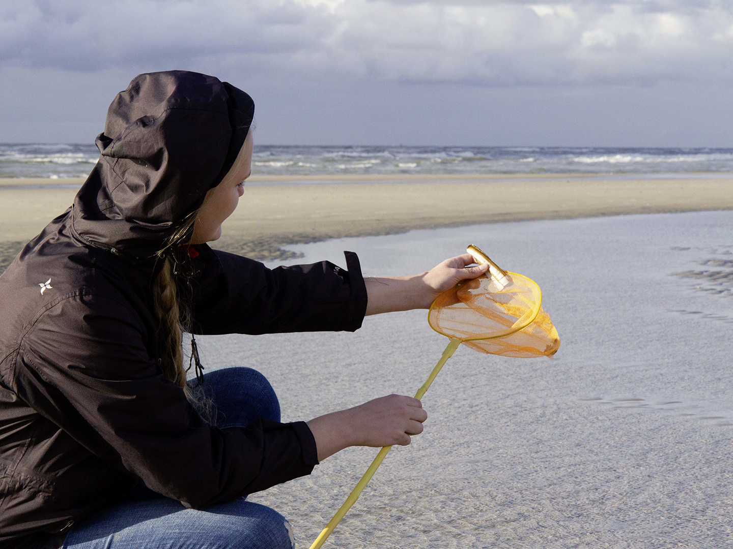 Mikroexpeditionen auf der Nordseeinsel Juist