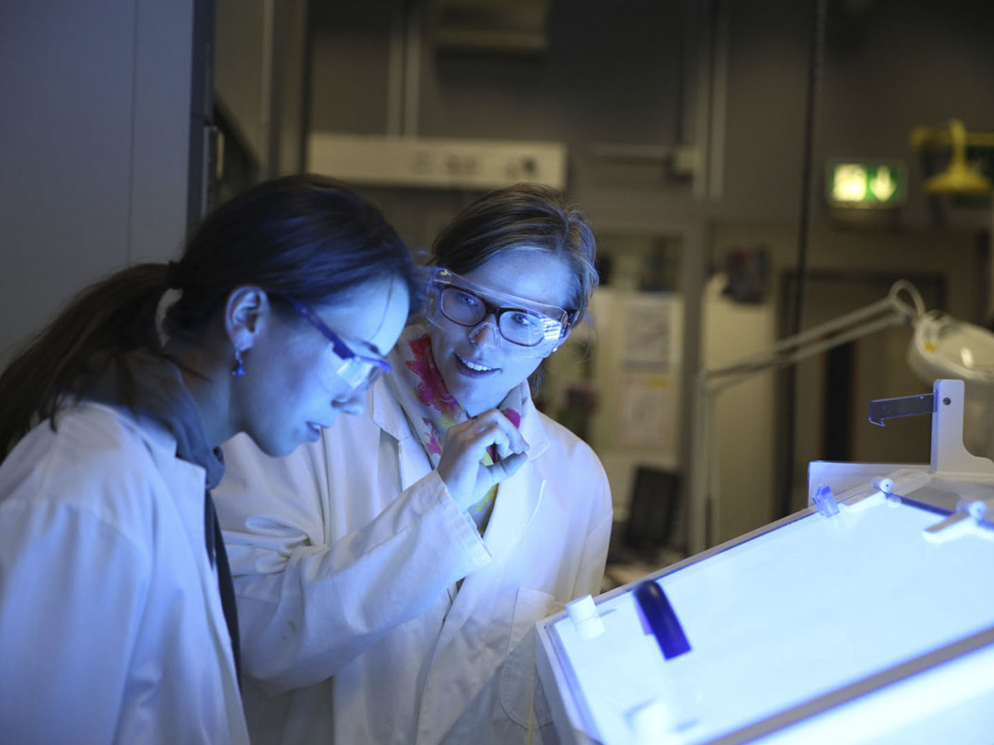 Die Veranstaltung ermöglicht einen wertvollen Einblick in die Arbeit der Fraunhofer-Gesellschaft. Die Veranstaltung ermöglicht einen wertvollen Einblick in die Arbeit der Fraunhofer-Gesellschaft.