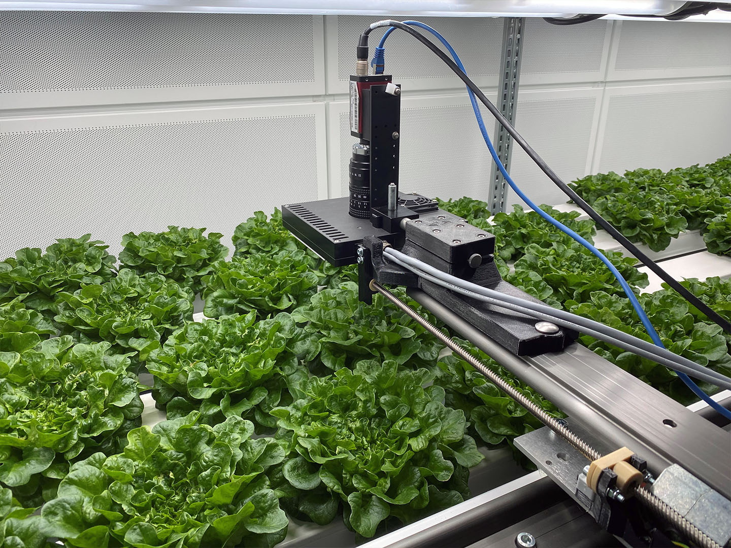 Laboraufbau im Projekt LightSaverAI beim Verbundpartner Hochschule Osnabrück: Ein automatisierter Messkopf erfasst kontinuierlich den Lichtbedarf in der Pflanzenproduktion, um eine bedarfsgerechte Kultivierung zu ermöglichen.