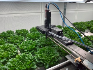 Laboraufbau im Projekt LightSaverAI beim Verbundpartner Hochschule Osnabrück: Ein automatisierter Messkopf erfasst kontinuierlich den Lichtbedarf in der Pflanzenproduktion, um eine bedarfsgerechte Kultivierung zu ermöglichen.