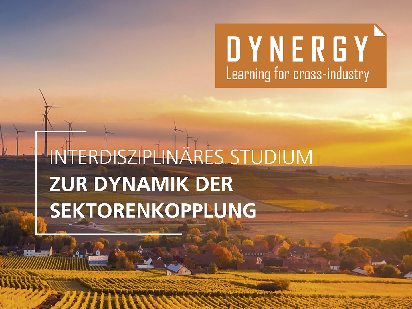 DYNERGY DYNERGY