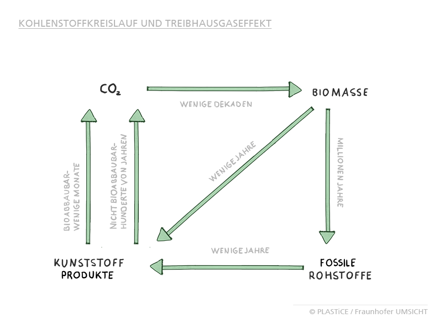 Kohlenstoffkreislauf und Treibhausgaseffekt