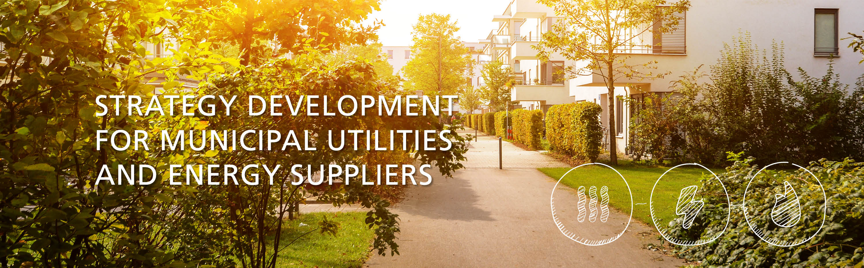 Strategy development for municipal utilities and energy suppliers