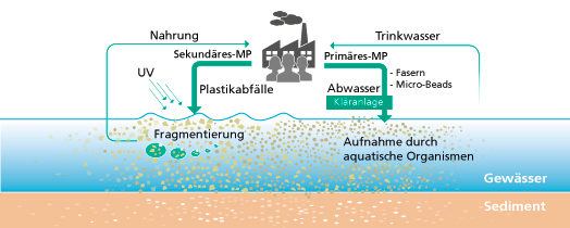 So entsteht Mikroplastik und gelangt in die Umwelt 