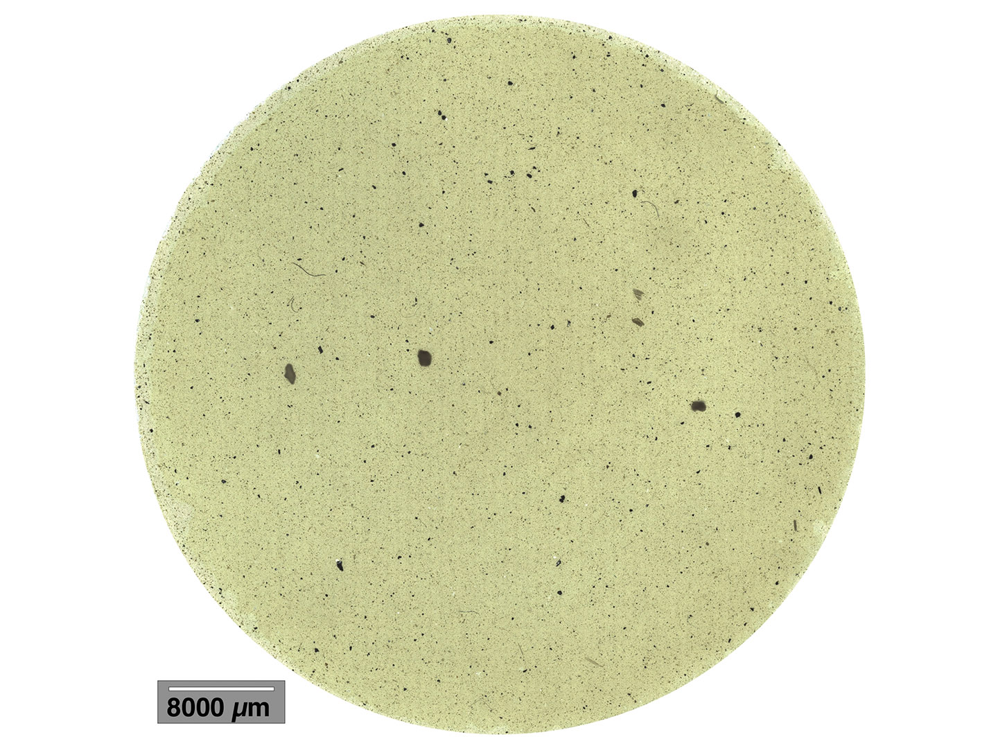 Filtration surface with soil components.